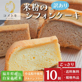 訳あり シフォンケーキ 米粉 10袋（紅茶10個）セット グルテンフリー カット 個包装 自家用 ふんわり しっとり クール 冷凍 送料無料