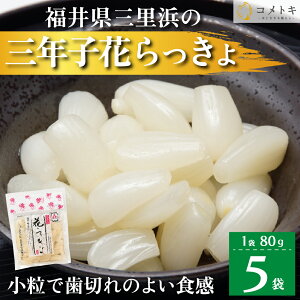 Y 傤 80g×5 䌧 ONq Ԃ Ԃ傤 ONx͔| Ol