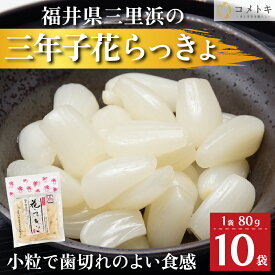 国産 らっきょう 80g×10袋 福井県 三年子 花らっきょ 花らっきょう 三年堀栽培 三里浜