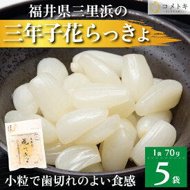 国産 らっきょう 70g×5袋 福井県 三年子 花らっきょ 花らっきょう 三年堀栽培 三里浜