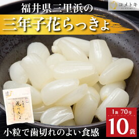 国産 らっきょう 70g×10袋 福井県 三年子 花らっきょ 花らっきょう 三年堀栽培 三里浜
