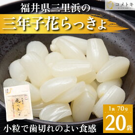 国産 らっきょう 70g×20袋 福井県 三年子 花らっきょ 花らっきょう 三年堀栽培 三里浜