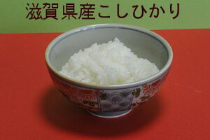 yVāzy7NYzꌧYЂ蔒20kg(5kg×4܁jߍ]āyzꕔʓr