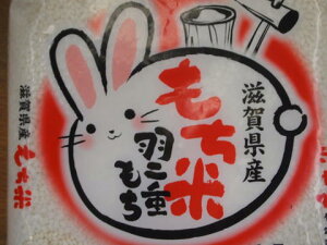 yVāzy7NYzꌧY@Hd1.5kg i