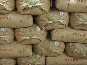 【新米】【7年産】滋賀羽二重もち米白米20kg【送料無料】一部送料別途