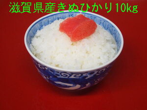 yVāzy7NYzꌧYLkqJ10kgyzꕔʓr