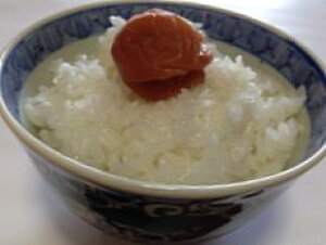 yVāzy7NYzꌧYLkqJ5kgyzꕔʓr