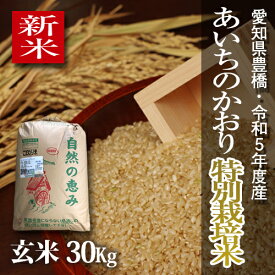 【新米】【栽培期間中農薬不使用】令和5年度・愛知県産 ・特別栽培米　あいちのかおり 玄米30kg
