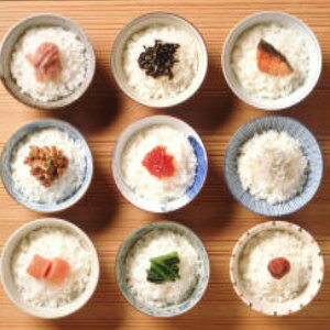 yΕ Mtgz  10kg  V ߘa7N  R 10kg (5kg×2) z A ei   j j  Vzj o C j n a   ɂ