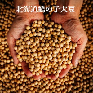 kCY ߘa6NY V߂̎q哤 1000~|bL |Cg  X [  ẴVo[CX{ 哤 500g