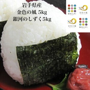 Hה   10kg  ͂̂ F̕ e5kg 10kg a  Mtg v[g  Hו   Mtg  j  oYj j oYj 