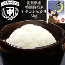 令和7年 2025年 新米 5kg 七夕コシヒカリ こしひかり 特別栽培米 佐賀 米 5kg 送料無料 白米 玄米 お米 5キロ おいしい みずみずしい 内祝い お祝い グルテンフリー 米のシルバーライス本舗 中嶋商店 ギフト プレゼント