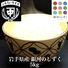 銀河のしずく 令和5年 岩手県産 米 特a米 5kg 送料無料 1等米 お米 5キロ かわいい おしゃれ お歳暮 御歳暮内祝 出産内祝い ギフト プレゼント 60代 70代 80代 祖母 孫から即日出荷