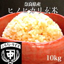 玄米 10kg 奈良県産 ヒノヒカリ ひのひかり 令和5年 10キロ 真空パック可 送料無料 グルテンフリー 酵素玄米 胚芽米 ヴィーガン ダイエット ご飯