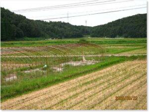 Vēחߘa7NYɍā󏭕āΐ쌧VՌĎѐYҁ@ɏJASFRVqJ5kgyzđI@EkCǉ^