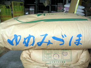 Vē׍Ynߘa7NYΐ쌧\oY߂݂Âف@10kg@đI@kC1080~Abv