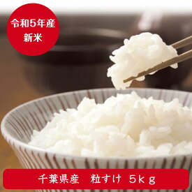 令和5年産 ちばの新品種 粒すけ 新登場 無洗米 5kg お試しキャンペーン価格【当店オススメ】