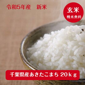 令和5年産　千葉県産 あきたこまち玄米20kg（10kg×2袋）送料無料♪精米無料♪小分けも無料♪※九州・北海道発送不可※