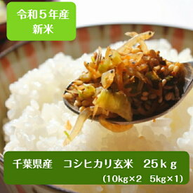 令和5年産 千葉県産 コシヒカリ玄米25kg小分け無料（10kg×2袋、5kg×1袋）送料無料 精米無料※沖縄・九州・北海道発送できません※