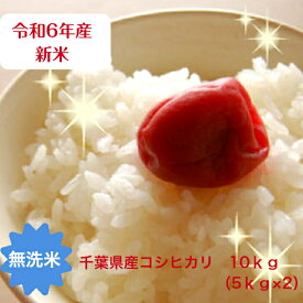 令和6年産 無洗米コシヒカリ 千葉県産10kg（5kg×2）おいしい♪手間なし♪簡単♪【売れ筋】【当店オススメ】※本州・四国 送料無料※※九州・北海道発送不可※