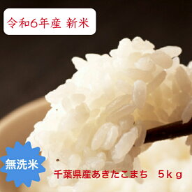 令和6年産 無洗米 あきたこまち 5kgおいしい♪簡単♪千葉県 精米