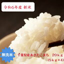 令和6年産 無洗米 あきたこまち 20kg(5kg×4）おいしい♪手間なし♪簡単♪ 千葉県産 本州・四国　送料無料【当店オススメ】【売れ筋】※九州・北海道発送不可※