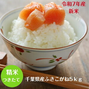 ߘa7NY@VēׁI ӂ 5kg 