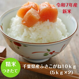 令和7年産　新米入荷！ 千葉県産 ふさこがねつきたて10kg （5kg×2）送料無料※九州・北海道発送不可※