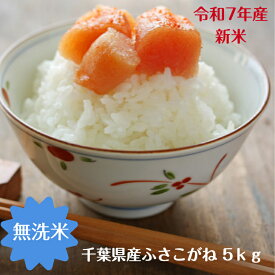 令和7年産　新米入荷！ 無洗米　ふさこがね　5kgおいしい♪手間なし♪簡単♪送料無料 精米