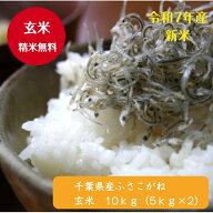 令和7年産 千葉県産 ふさこがね 玄米10kg（5kg×2）♪精米無料♪【本州・四国　送料無料】※九州・北海道…