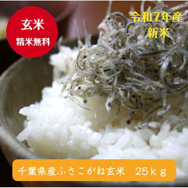令和7年産 新米入荷！千葉県産　ふさこがね 玄米25kg(玄米：10kg×2袋、5kg×1袋)♪精米無料♪小分け無料♪【本州・四国　送料無料】※沖縄・九州・北海道発送できません※