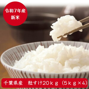 ߘa7NY Vēׁ@΂̐Vi헱  20kgi5kg×4)yXIXXzy؁zBEkCs