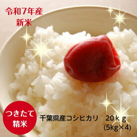 令和7年産　新米入荷！千葉県産 こしひかりつきたて白米20kg（5kg×4）本州・四国※送料無料※※九州・北海道発送不可※