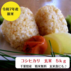 令和7年産　新米入荷！千葉県産 コシヒカリ 玄米 5kg【本州　四国　送料無料】精米無料