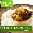 令和7年産　千葉県産 コシヒカリ 玄米10kg（5kg×2）【本州 四国　送料無料】♪精米無料♪※九州・北海道発送不可※