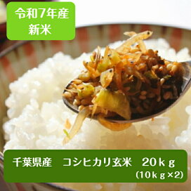 楽天市場】令和7年産 千葉県産 コシヒカリ 玄米25kg 小分け無料 
