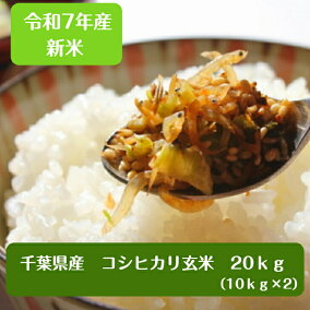 楽天市場】令和7年産 千葉県産 コシヒカリ玄米20kg（10kg×2袋 