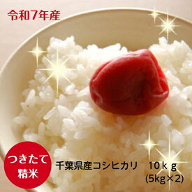令和7年産　千葉県産　 こしひかりつきたて　白米10kg（5kg×2）本州・四国※送料無料※ 精米※九州・北海道発送不可※
