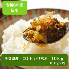 令和8年産　新米入荷！千葉県産 コシヒカリ 玄米10kg（5kg×2）【本州 四国　送料無料】♪精米無料♪※九州・北海道発送不可※