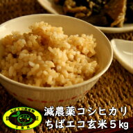 【令和7年産】　 新米入荷★ちばエコ★減農薬コシヒカリ　玄米　5kg送料無料♪数量限定♪【本州・四国　…