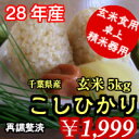 【28年産】千葉県産コシヒカリ　玄米　5kg送料無料♪精米無料♪ご愛顧感謝価格になりました♪※送料無料地域に除外あり　北海道・九州　+400円※【コンビニ受取対... ランキングお取り寄せ
