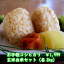 健康を気遣う方へ♪令和6年産 千葉県産 コシヒカリ生産者から直接仕入あんしん玄米2kg＆白米2kg　セット【本州・四国…