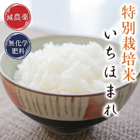 新米 5kg いちほまれ特別栽培米 令和7年新米 福井県産減農薬（農薬使用量5割以上削減）・無化学肥料栽培送料無料 米・食味鑑定士認定米