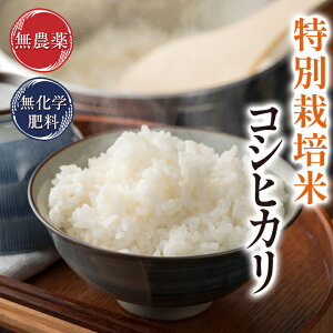 V 5kg RVqJ c_[ߘa7N䌧Y ʍ͔|Ĕ_gp5ȏ팸Ew엿͔|Vđ āEHӒmF   