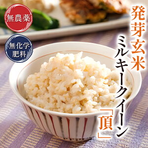 茺 _ ~L[NC[ uv 2kg ĊÂ݂Ǝ|胂``炩_Ew엿͔|ߘa7N䌧Y H@ہEr^~BQEGABAE~lLxAu