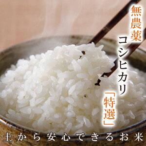 無農薬 玄米 10kgの人気商品 通販 価格比較 価格 Com