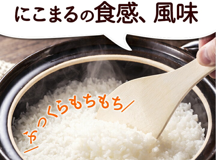 楽天市場】無農薬 玄米 米 2kg無農薬 にこまる令和7年 福井県産限定米 