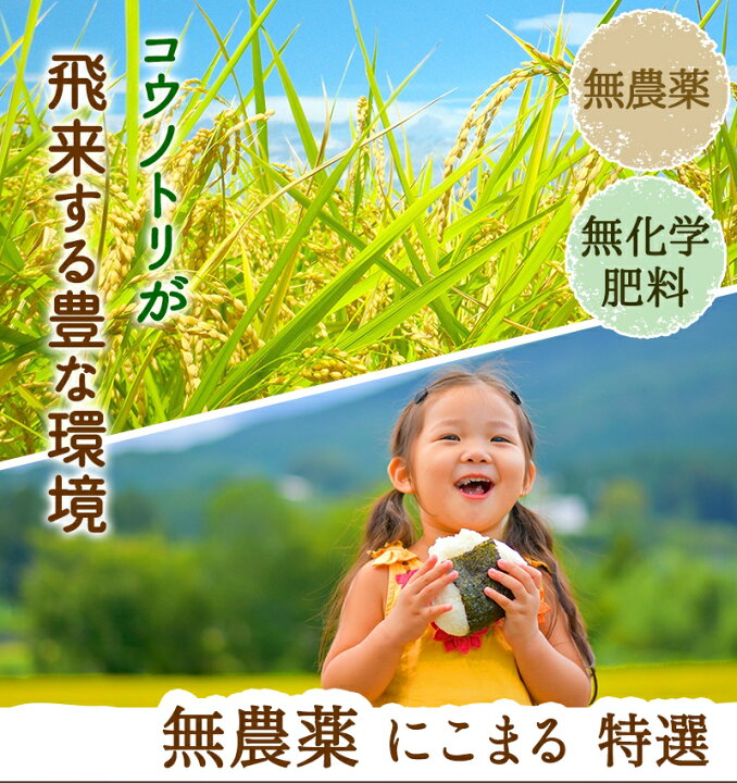 楽天市場】無農薬 玄米 米 2kg無農薬 にこまる令和7年 福井県産限定米 