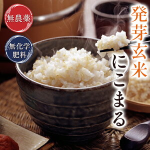 茺 _ ɂ܂ uIv3kg 傫ȗłӂƂ₩_Ew엿͔|ߘa7N䌧YV H@ہEr^~BQEGABAE~lLxAuVW_͖