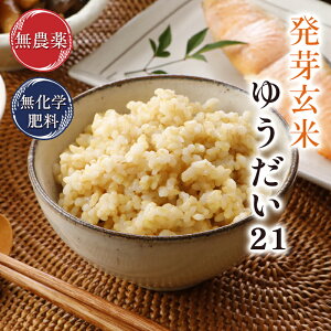 茺 _ 䂤21  2kǵuvHB_Ew엿͔|ߘa7N䌧Y H@ہEr^~BQEGABAE~lLxAuVW_͖o^p